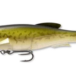 MAG DRAFT 6 - BASS CS