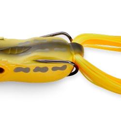 GABARIN - TONOMASA FROG