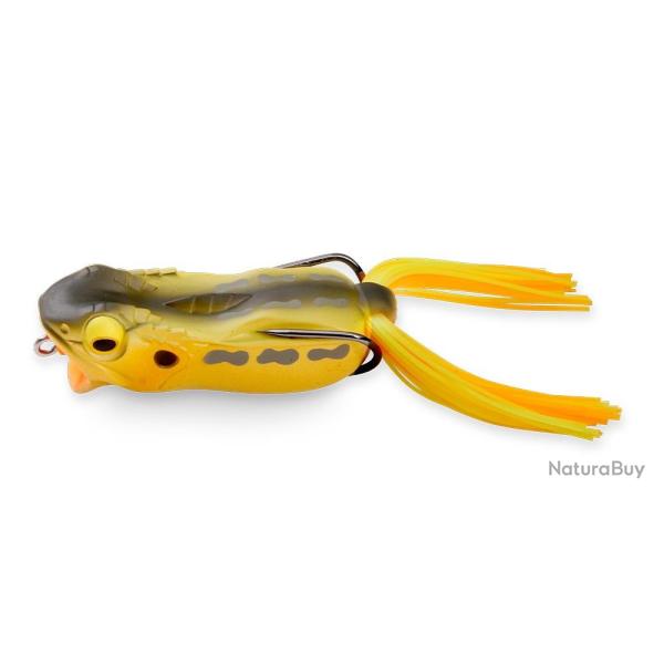 GABARIN - TONOMASA FROG