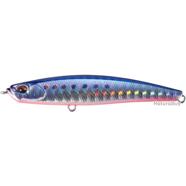 BAYRUF SEEK 68HW - AHA0087 MAZUME SARDINE