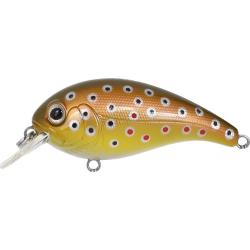 ELFIN CRANK - 3 BROWN