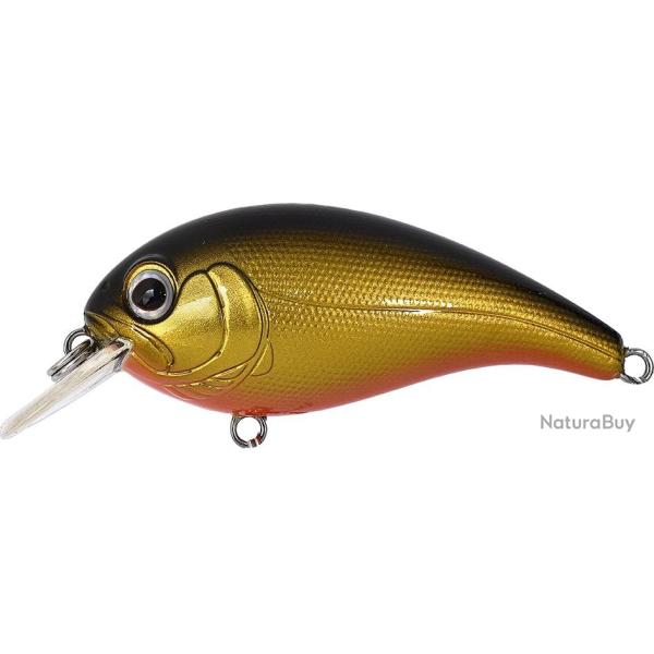 ELFIN CRANK - 5 GOLD BLACK / ORANGE BELLY