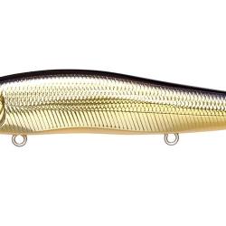 VISION 110 SR - M CHAMPAGNE KINKURO