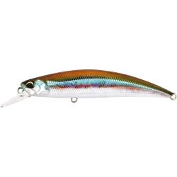 SPEARHEAD RYUKI 80 SP - ADA4013 WAKASAGI