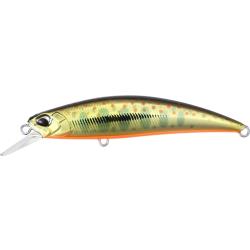 SPEARHEAD RYUKI 80 SP - MCC4084 GOLD YAMAME