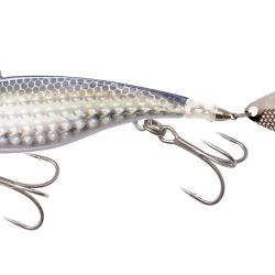 X-BLAZAR SW 30G - G BORA