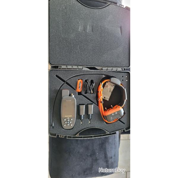 Collier gps dressage Canicom gps 2