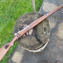 Mauser Argentin