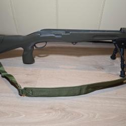 (Cat D2) Fusil Schmidt rubin sr 1889 custom TLD