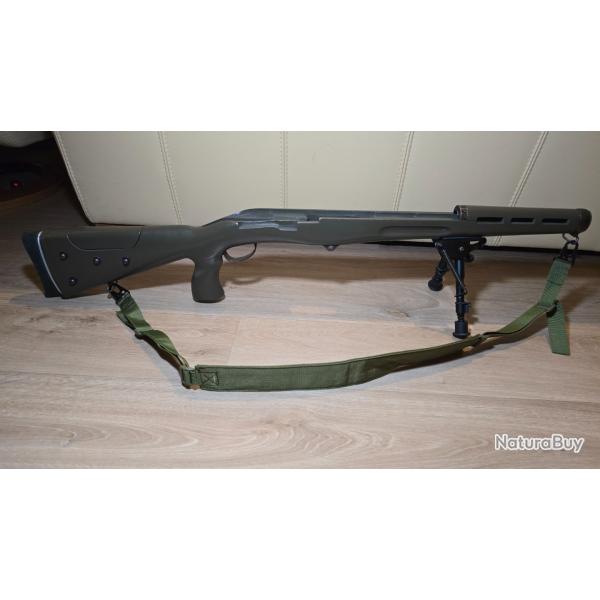 (Pack cat D2) Schmidt rubin sr 1889 custom TLD