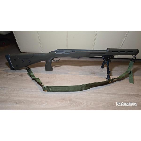 (Cat D2) Fusil Schmidt rubin sr 1889 custom TLD