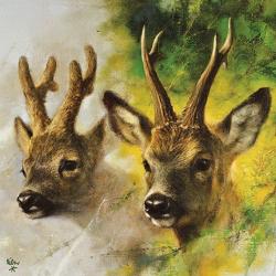 20 serviettes papier LOVERGREEN brocard