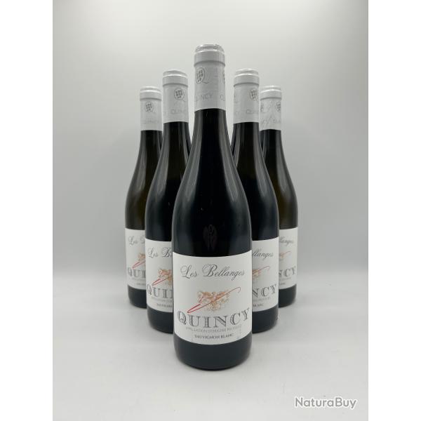 2023 Les Bellanges Quincy Vin Blanc - 6 Bouteilles