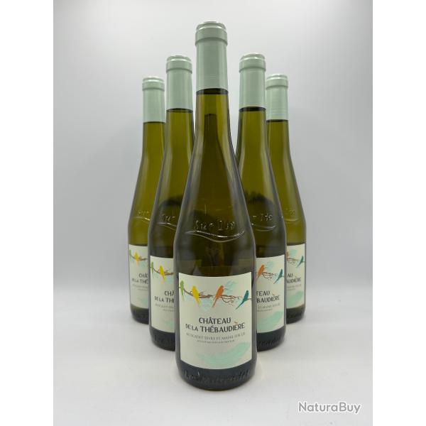 2023 Chteau de la Thbaudire Muscadet Svre et Maine - Sur lie - 6 Bouteilles