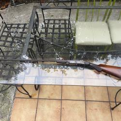 Carabine de chasse calibre 410/65