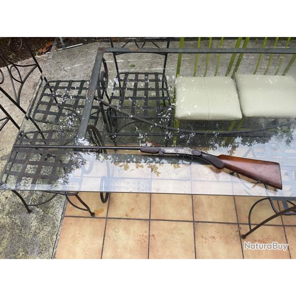 Carabine de chasse calibre 410/65