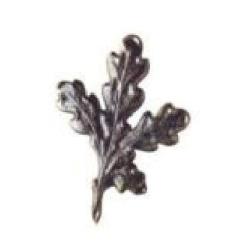 10 Feuilles de chêne WEGU en vieil étain pour trophée