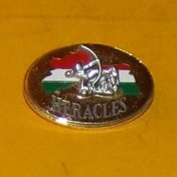 D&eacute;tachement Air DOUCHAMBE, HERACLES, opaque dor&eacute; , FABRICANT BOUSSEMART 2005 , HOMOLOGATION 1341 ,Le