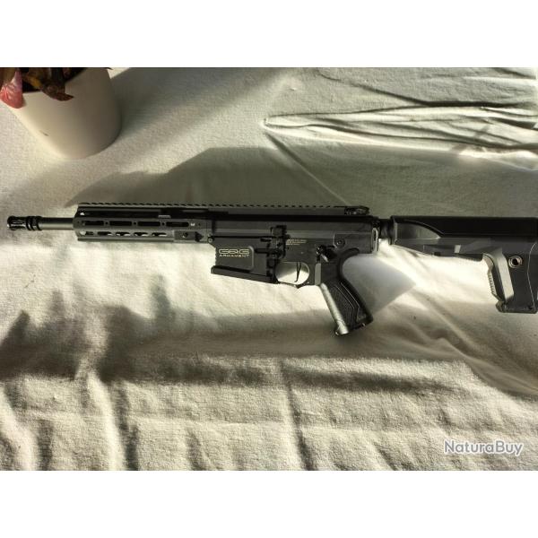 Tr16 mk1 308 g&g