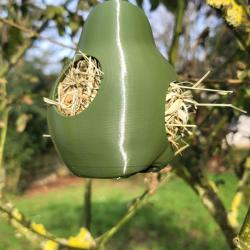 PYR&Eacute;A NIDIFICA - Le fruit qui aide la nature &agrave; tisser ses nids Vert Olive