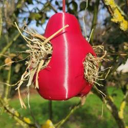 PYR&Eacute;A NIDIFICA - Le fruit qui aide la nature &agrave; tisser ses nids Rouge Pourpre