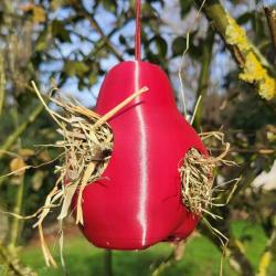 PYR&Eacute;A NIDIFICA - Le fruit qui aide la nature &agrave; tisser ses nids Rouge Pourpre