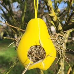 PYR&Eacute;A NIDIFICA - Le fruit qui aide la nature &agrave; tisser ses nids Jaune