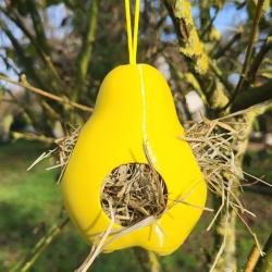 PYR&Eacute;A NIDIFICA - Le fruit qui aide la nature &agrave; tisser ses nids Jaune