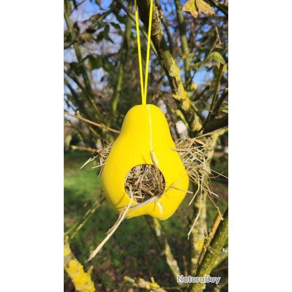 PYR�A NIDIFICA - Le fruit qui aide la nature � tisser ses nids Jaune