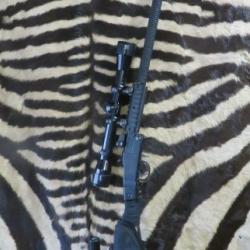 Carabine CHIAPPA Little Badger cal.22 lr canon 47 cm - lunette Bushnell