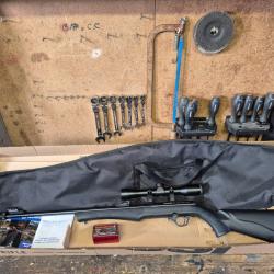 Carabine 17HMR