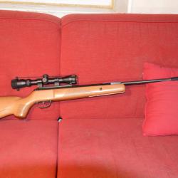 carabine à air comprime 19.9 joules NITRO VENUM de la marque CROSMAN avec lunette de précision