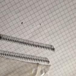 Lot 2 petit ressorts pour Benelli