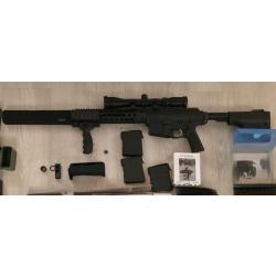 Troy PAR 308, réducteur de son, lunette, poignée, 3 chargeurs.