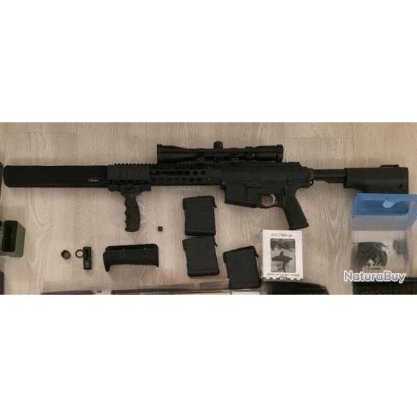 Troy PAR 308, rducteur de son, lunette, poigne, 3 chargeurs.