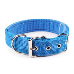 Collier pour chien toutes tailles - bleu - LIVRAISON GRATUITE