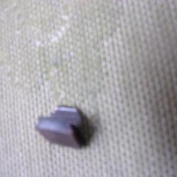 guidon  de carabine Browning SA Smokeless en 22 lr