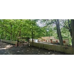 Bail de chasse - Eure/Yvelines 1h &agrave; l'ouest de Paris - 400 HA (for&ecirc;t de 300 HA)