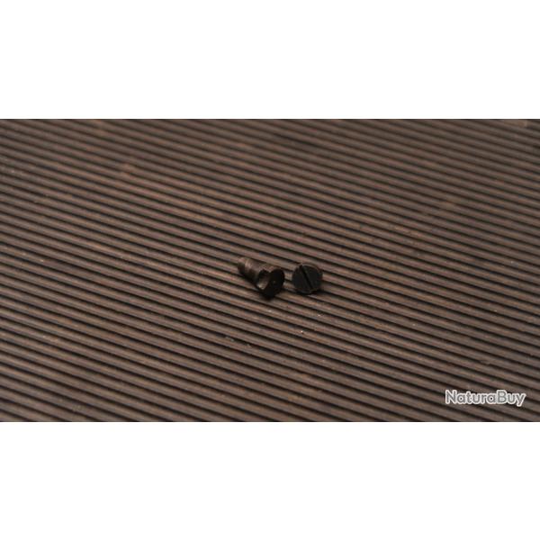 Lot de vis goupilles Scmidt Rubin 1889 REF 157/2025