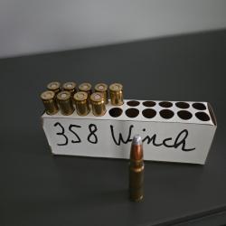 lot de 10 munitions 358 winchester
