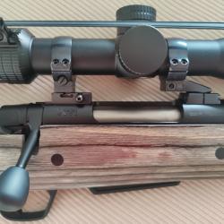Carabine Winchester XPR cal 243 Win , lunette GPO spectra sur montage EAW