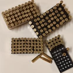 170 douilles - &eacute;tuis - 222 sellier et bellot - tir&eacute;es 1x - nettoy&eacute;es tumbler humide