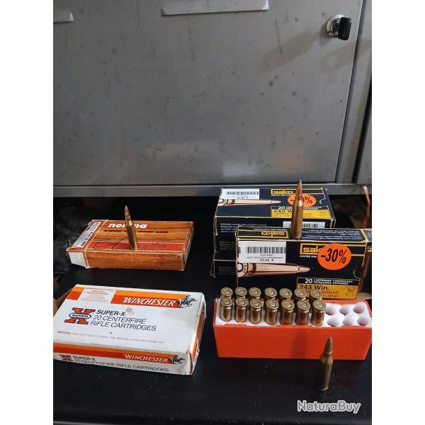 Balles calibre 243