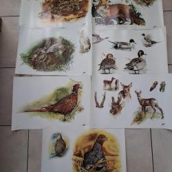 Anciens posters (affiches) Legia