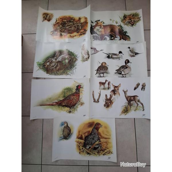 Anciens posters (affiches) Legia