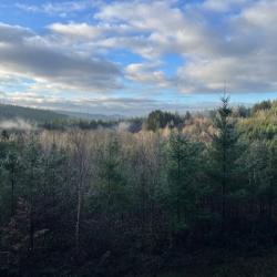 Action de chasse grand gibier sur territoire privé.