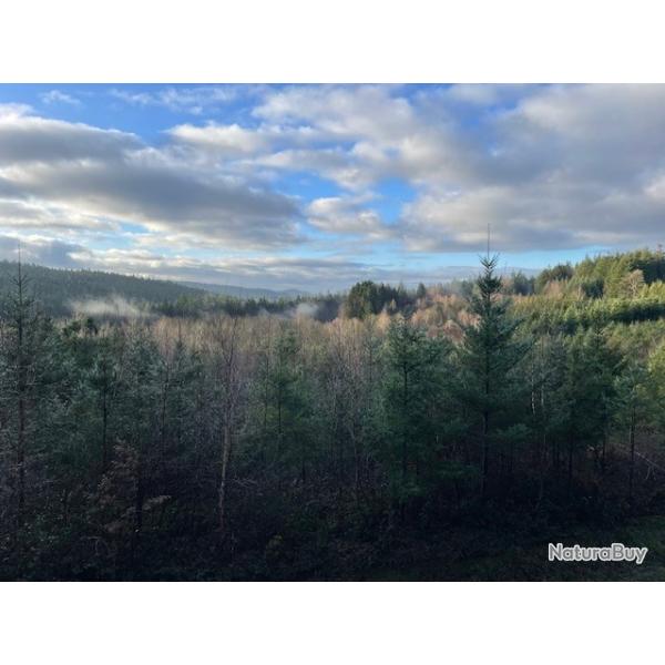 Action de chasse grand gibier sur territoire priv�.