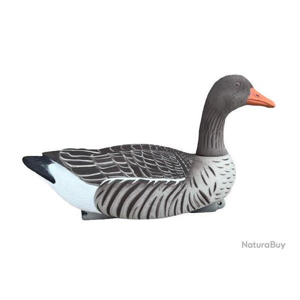 Formes d'Oie Cendr�e Active HD - Lot de 4