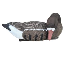 Formes d'Oie Rieuse Mangeuse HD - Lot de 4