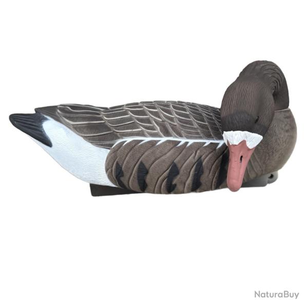 Formes d'Oie Rieuse Mangeuse HD - Lot de 4